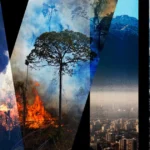 Article "A Tale of Two Definitions: Fortifying Four Key Elements of the Proposed Crime of Ecocide" by Dr Matthew Gillett